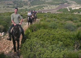 South West Sardinia horseback riding