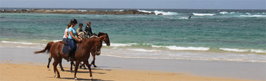 horse riding Sulcis Sardinia SW