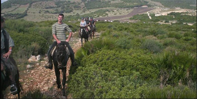 Riding school- Horseback trekking