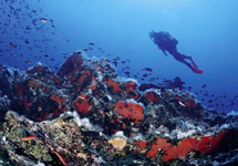 South Sardinia, snorkeling and scuba diving